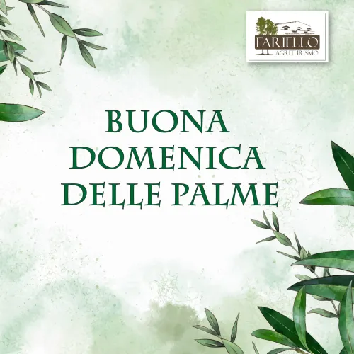 Domenica delle Palme 2026